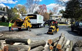 Best Tree Health Inspection  in Pinckney, MI